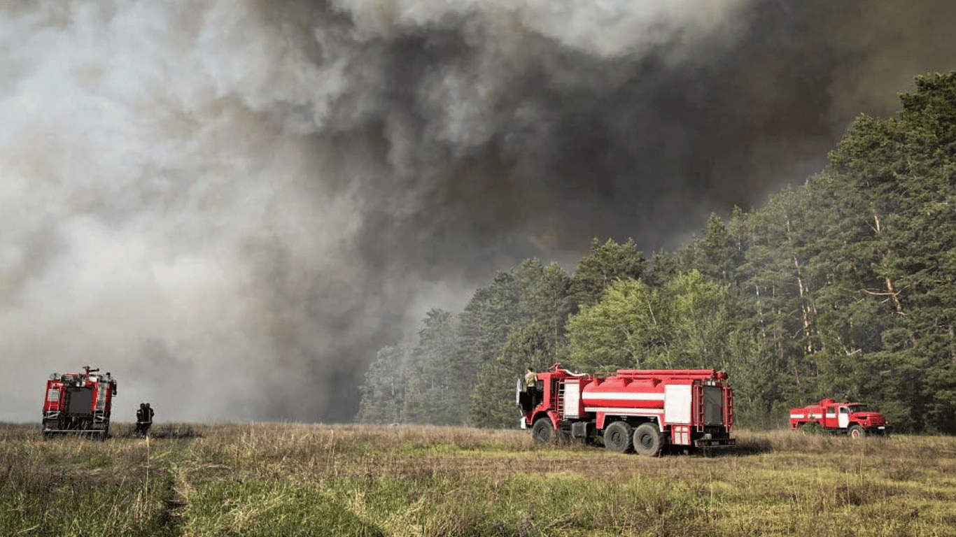Фото до матеріалу: Масштабна лісова пожежа на Київщині: понад 300 рятувальників ліквідують вогонь у Бучанському районі
