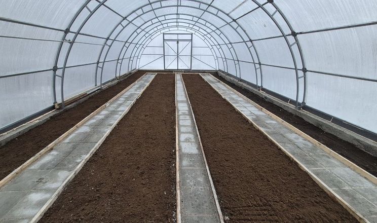 Фото до матеріалу: Виробники овочів та ягід обирають індивідуальні теплиці замість стандартних
