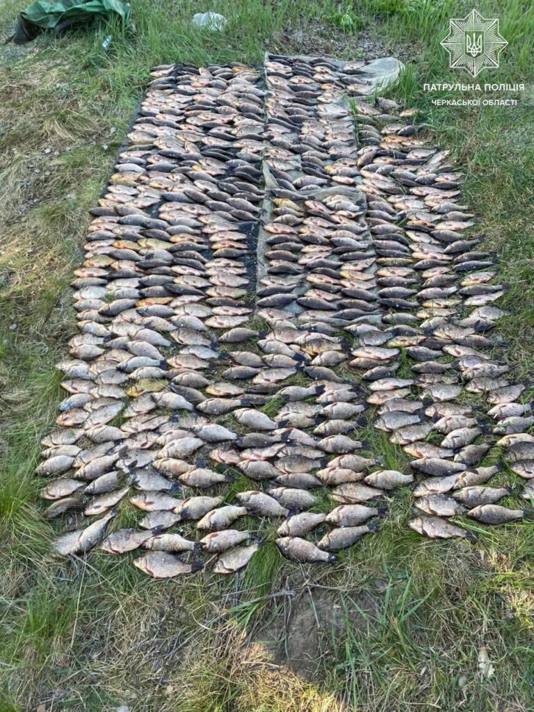 Фото до матеріалу: Нічний рейд на Ірдинці: браконьєри спробували вивести 534 карасі, збитки перевищують 847 тисяч гривень