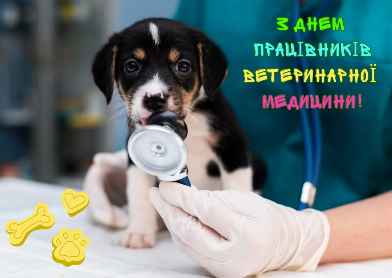 Фото до матеріалу: Вшанування тих, хто рятує життя тварин: привітання з Днем ветеринара 2026