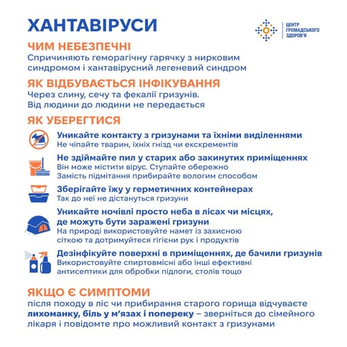 Фото до матеріалу: Хантавірус в Україні: як захиститися від гризунів та що таке вірус Анд