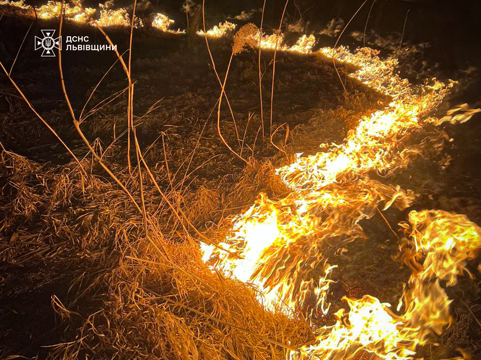 Фото до матеріалу: Рятувальники Львівщини попереджають про небезпеку спалювання сухостію на вихідних