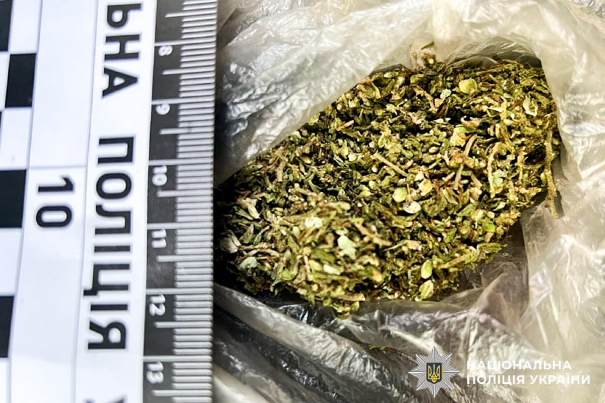 Фото до матеріалу: Повторне зберігання наркотиків: мешканця Клеваня засудили до понад року ув'язнення