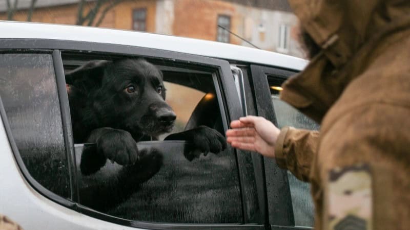 Фото до матеріалу: Експерт Нарожний: завершення війни для Росії означає економічний колапс