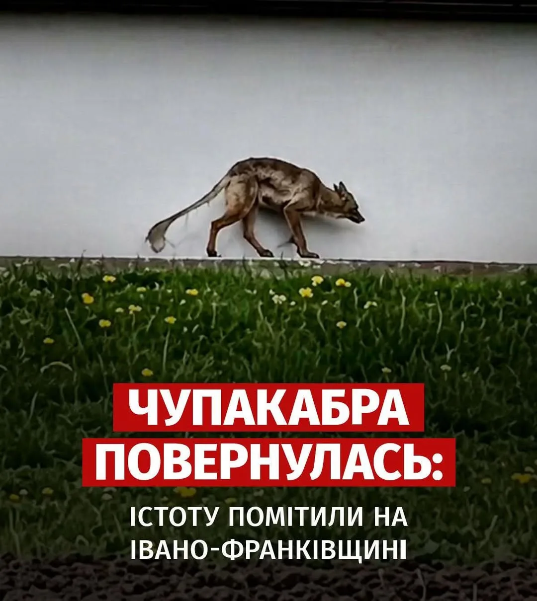 Фото до матеріалу: Поки триває війна: країна на межі чи просто в тумані?