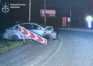 Фото до матеріалу: Кінь впав у колодязь у Делятині: рятувальники врятували тварину