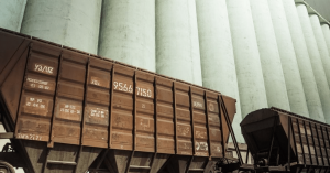 Фото до матеріалу: Укрзалізниця виставляє на аукціони понад 600 зерновозів