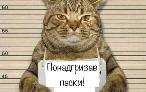 Фото до матеріалу: Підбірка блогожаб та фотоприколів від UAINFO за 9 квітня