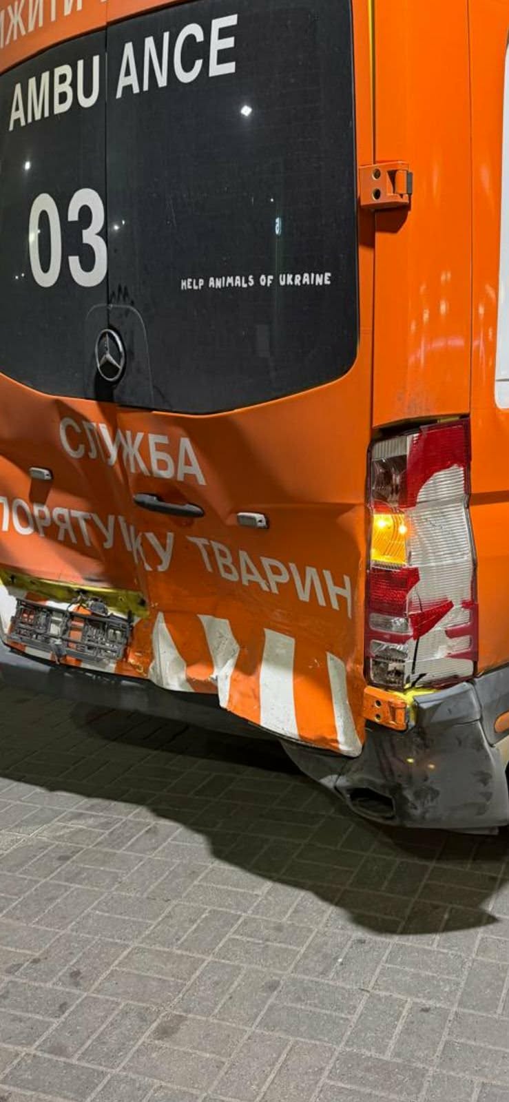 Фото до матеріалу: Олень Борис вдруге потрапив у ДТП: опікун розповів про стан тварини