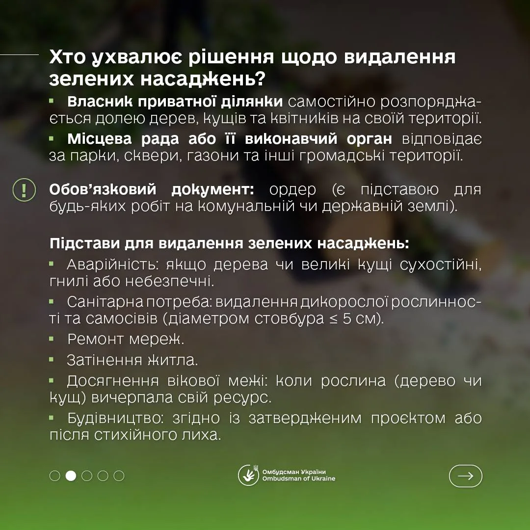 Фото до матеріалу: Дмитро Лубінець уточнив правила видалення дерев та розмір штрафів за їх незаконне вирубування