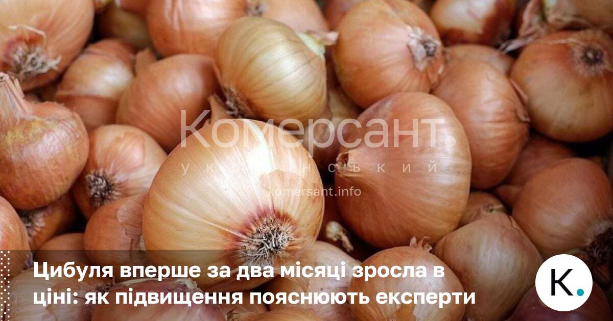 Фото до матеріалу: Цибуля вперше за два місяці зросла в ціні: як підвищення пояснюють експерти