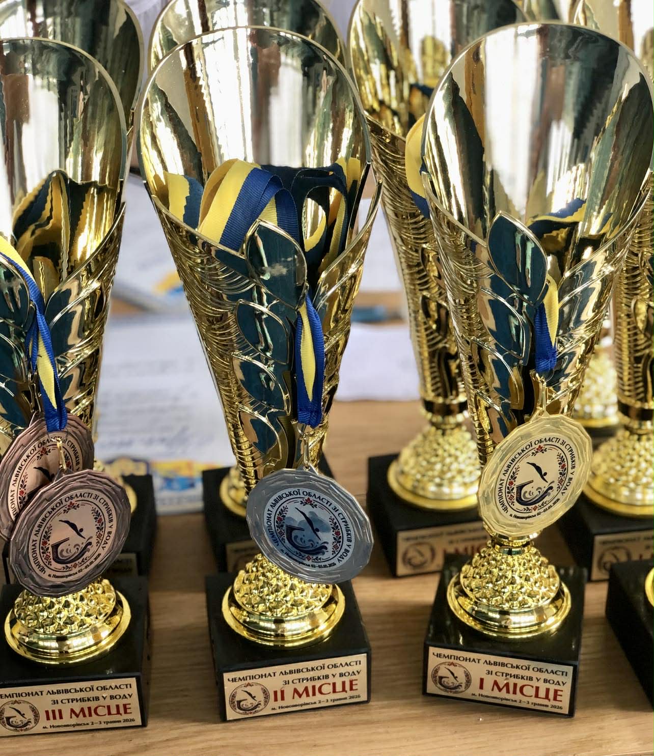 Фото до матеріалу: Новояворівськ став ареною чемпіонату Львівщини зі стрибків у воду 2026 року