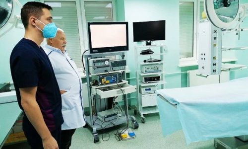 Фото до матеріалу: Чому жива квітка на могилі важливіша за тонни штучного пластику