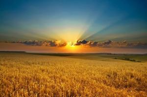Фото до матеріалу: В Україні готують випуск земельних облігацій для залучення коштів