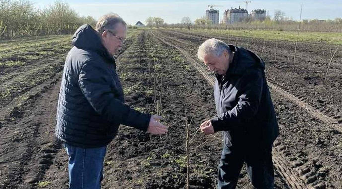 Фото до матеріалу: На Київщині створили найпівнічніший мигдалевий сад України