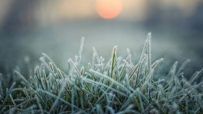 Фото до матеріалу: У Львові 30 квітня проведуть військові похорони трьох загиблих захисників