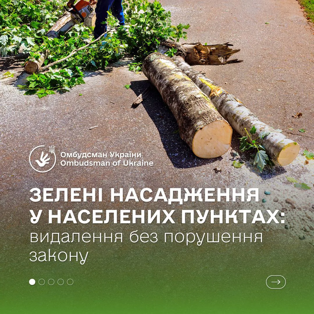 Фото до матеріалу: Дмитро Лубінець уточнив правила видалення дерев та розмір штрафів за їх незаконне вирубування