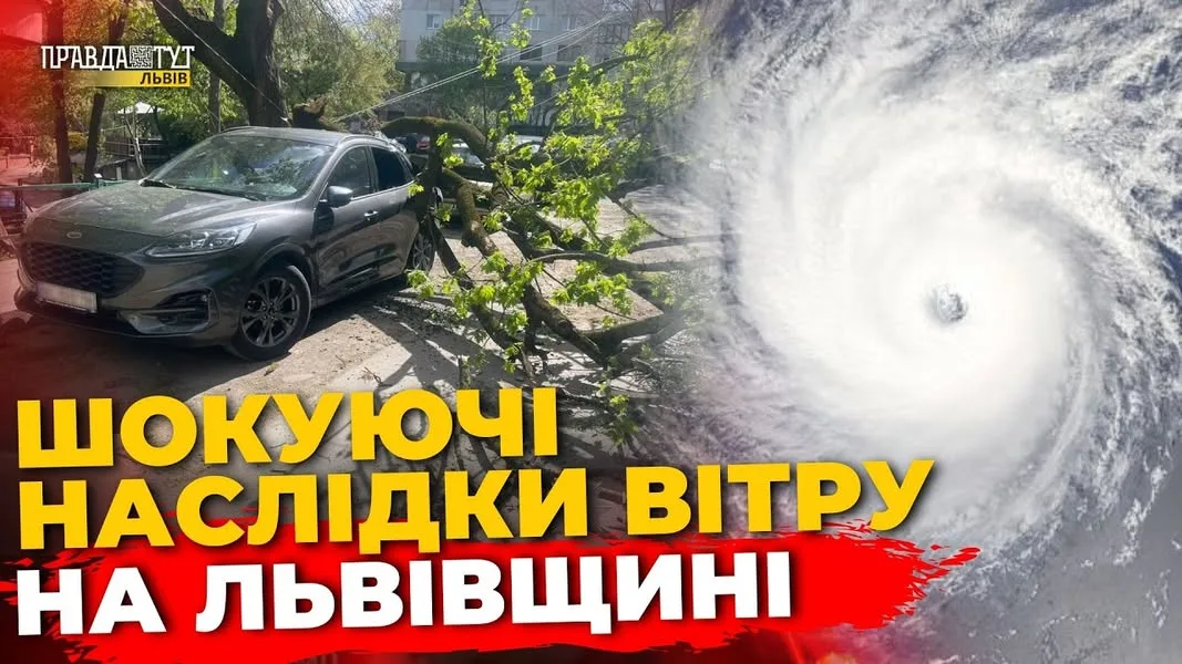 Фото до матеріалу: На Львівщині вітрові пориви до 21 м/с та заморозки: що очікує мешканців регіону