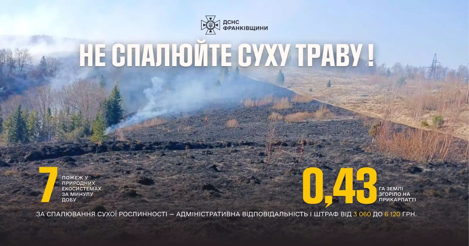 Фото до матеріалу: На Прикарпатті за добу ліквідували 7 пожеж в екосистемах