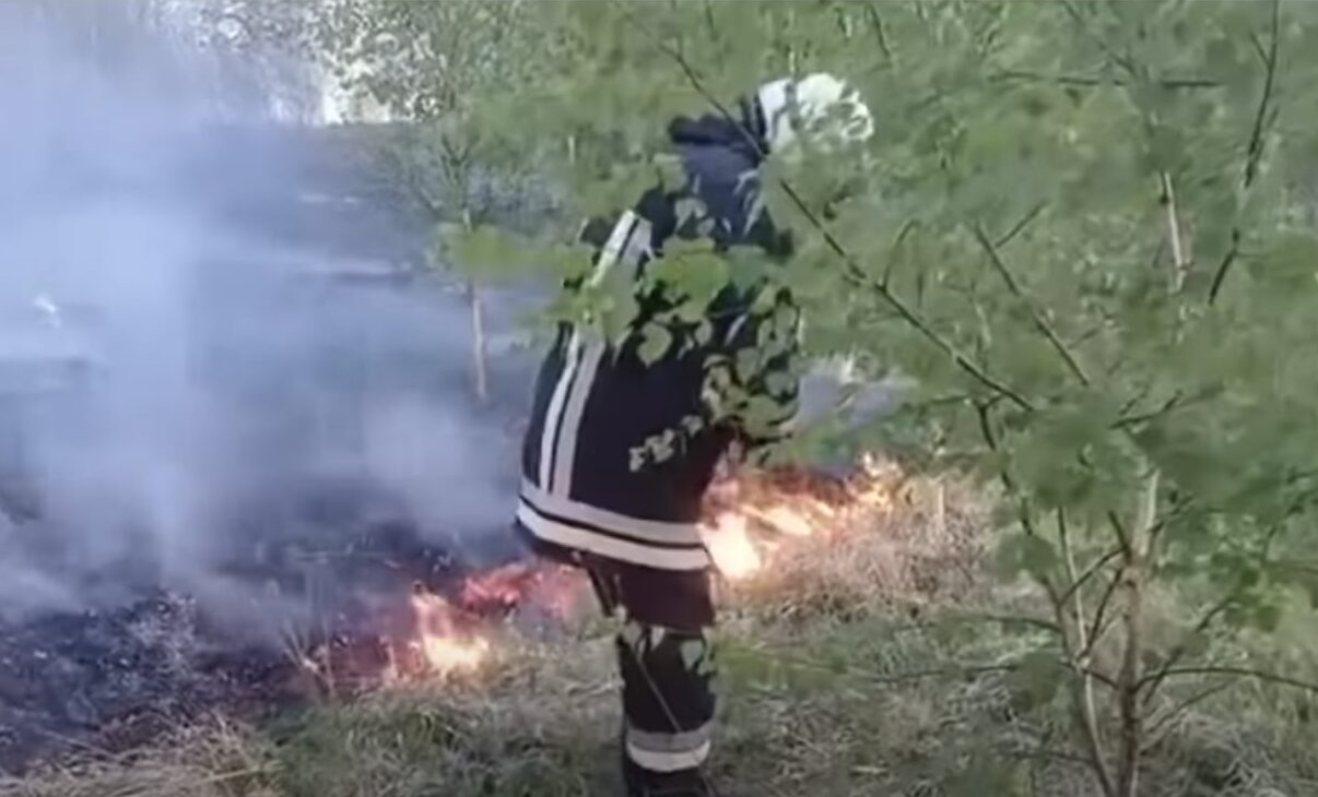 Фото до матеріалу: У Прикарпатті за добу ліквідували 23 пожежі в лісах та на торфовищах