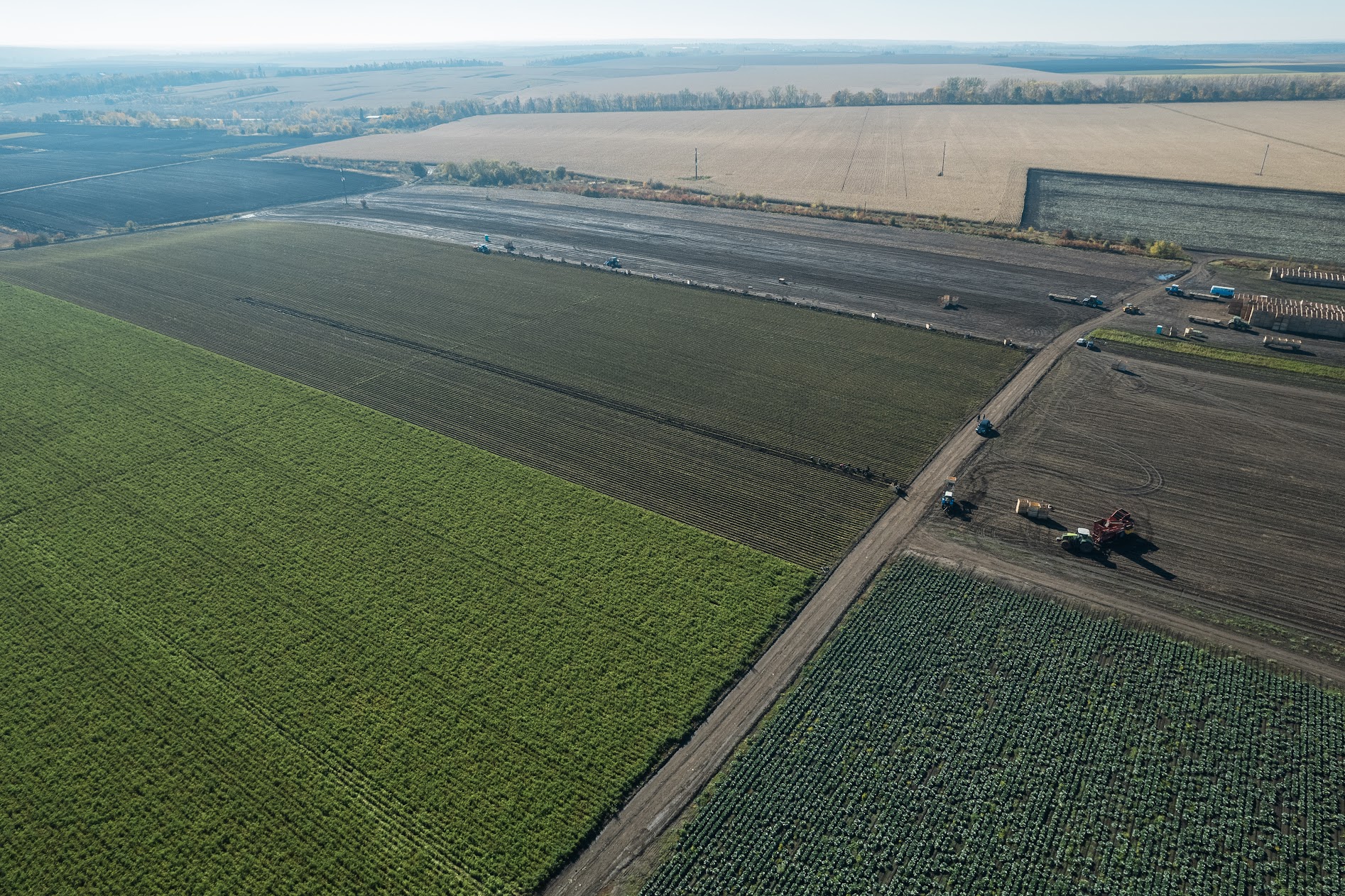 Фото до матеріалу: Як продати пай у 2026 році: документи, орендар та уникнення помилок