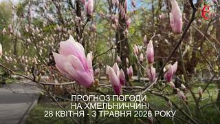Фото до матеріалу: Сильний вітер завдав шкоди Хмельницькій області: пошкоджені дахи та історична пам'ятка