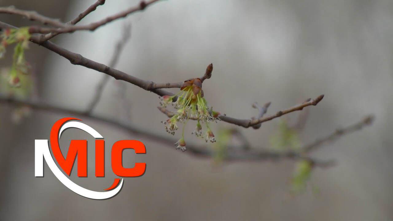 Фото до матеріалу: Квітень у куртках: коли у Кам'янському нарешті потеплішає?