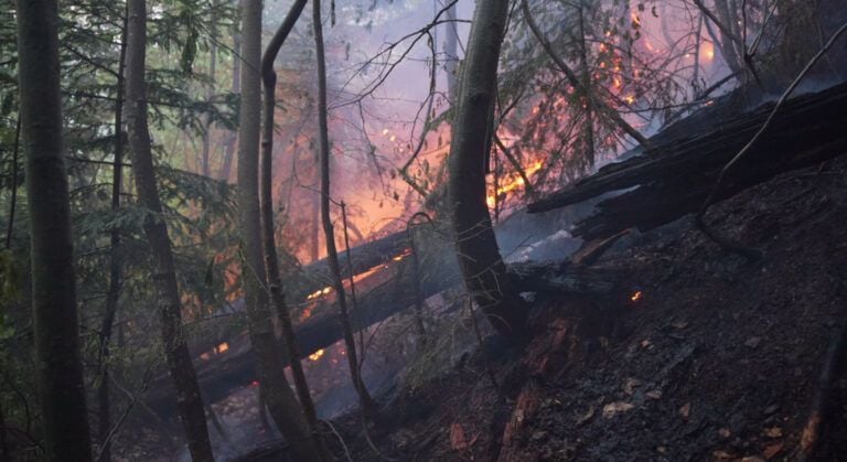 Фото до матеріалу: Лісова пожежа в Карпатах охопила 75 гектарів: залучено авіацію та понад 200 рятувальників
