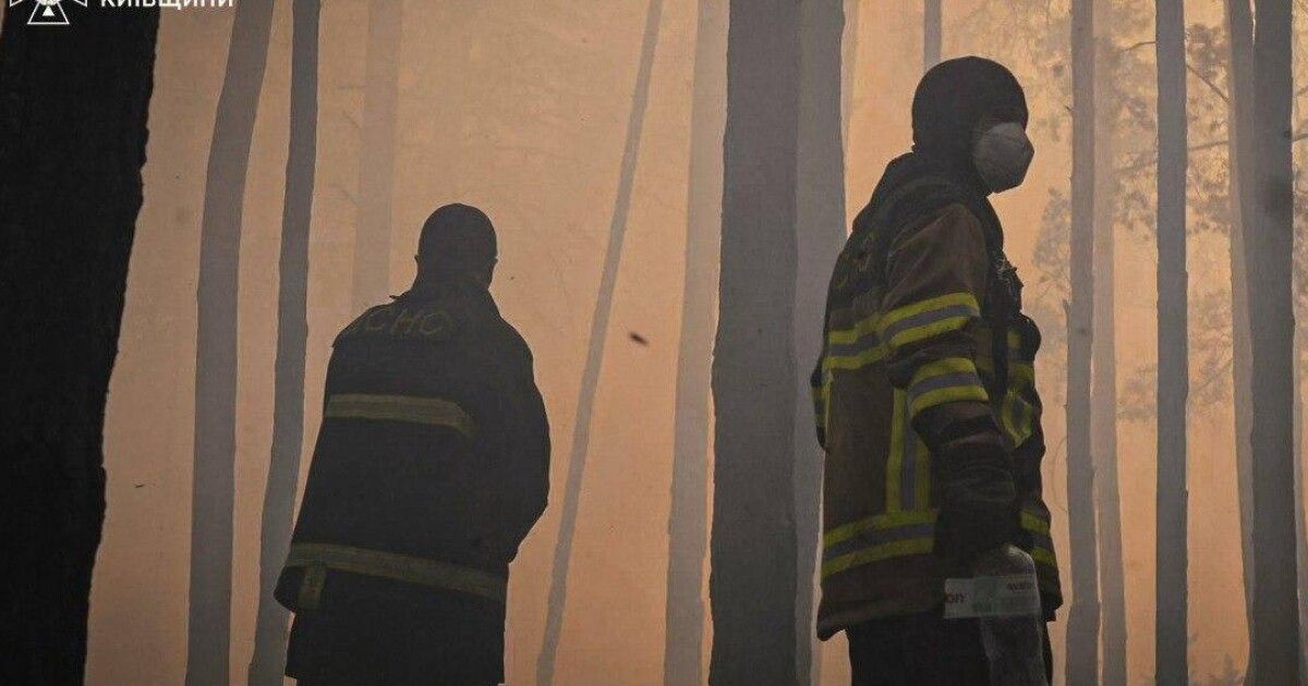 Фото до матеріалу: У Чорнобильській зоні відчуження горить понад 1100 гектарів лісу