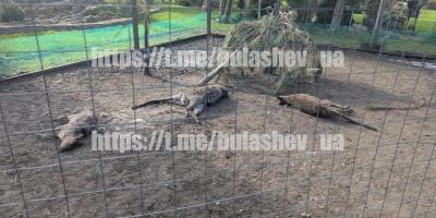 Фото до матеріалу: Ліквідатори ЧАЕС у Кременчуці скаржаться на тривалі черги та складність медичних комісій