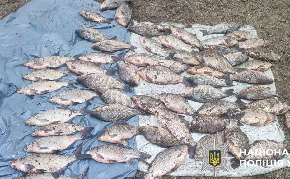 Фото до матеріалу: Браконьєр на Вишгородщині наловив рибу на 90 тисяч гривень