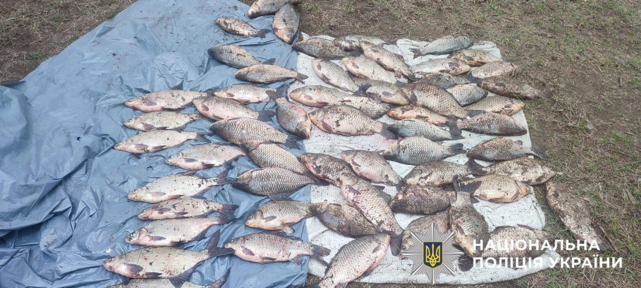 Фото до матеріалу: На Вишгородщині заарештували браконьєра, який незаконно ловив рибу під час нересту