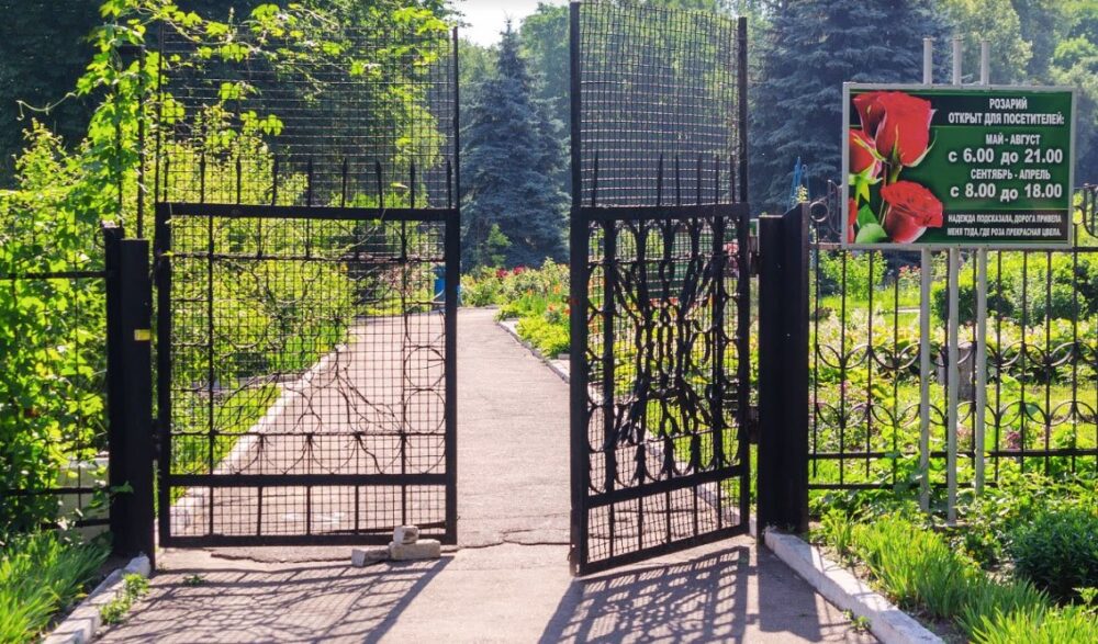 Фото до матеріалу: Вандали нищать розарій у Кам'янському: парк, який врятували рік тому, знову постраждав