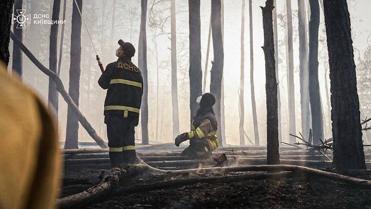 Фото до матеріалу: У Чорнобильській зоні відчуження ліквідовують масштабну лісову пожежу: що відомо