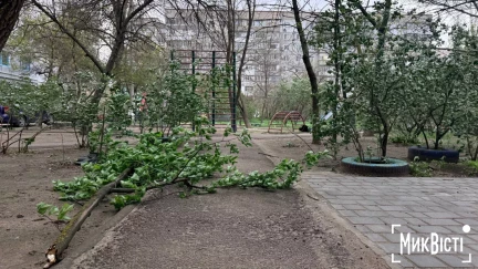 Фото до матеріалу: Польща планує тестувати військову техніку на українському фронті