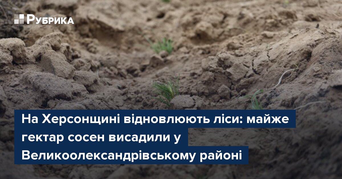 Фото до матеріалу: На Херсонщині відновлюють ліси: майже гектар сосен висадили у Великоолександрівському районі