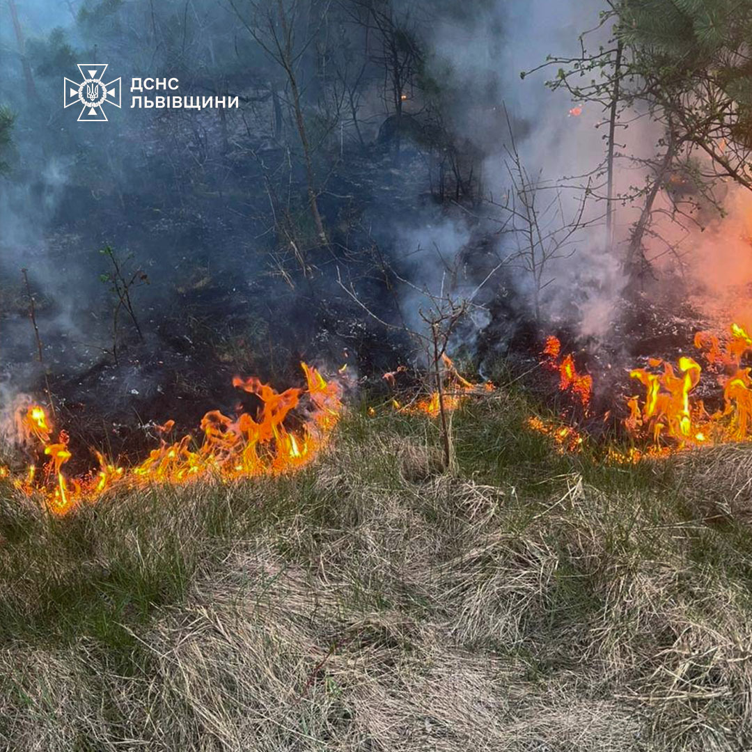 Фото до матеріалу: На Львівщині вирували потужні пожежі: з'явилися фото