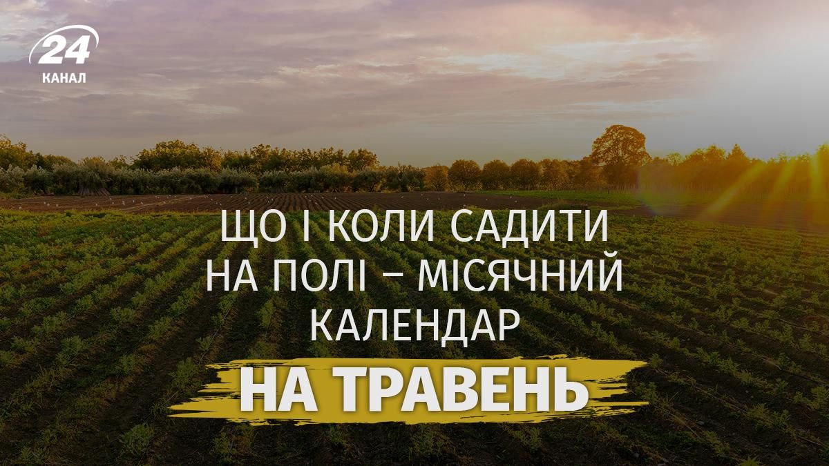 Фото до матеріалу: Місячний календар посіву на травень 2026: коли садити культури на полі для максимального урожаю