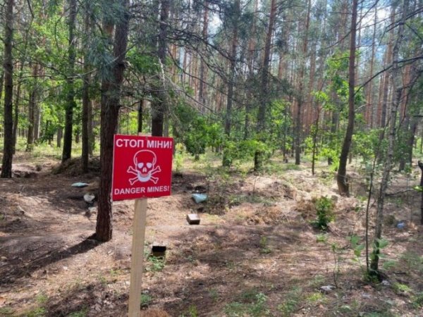 Фото до матеріалу: Україна увійшла в ТОП найзамінованіших країн світу: небезпека для екології