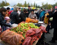 Фото до матеріалу: Лазанья з куркою за рецептом Сергія Джуренка: готуємо смачну страву вдома