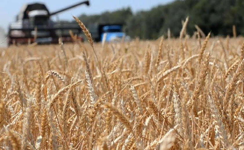 Фото до матеріалу: Як вибрати зернозбиральний комбайн: поради для успішного збирання врожаю