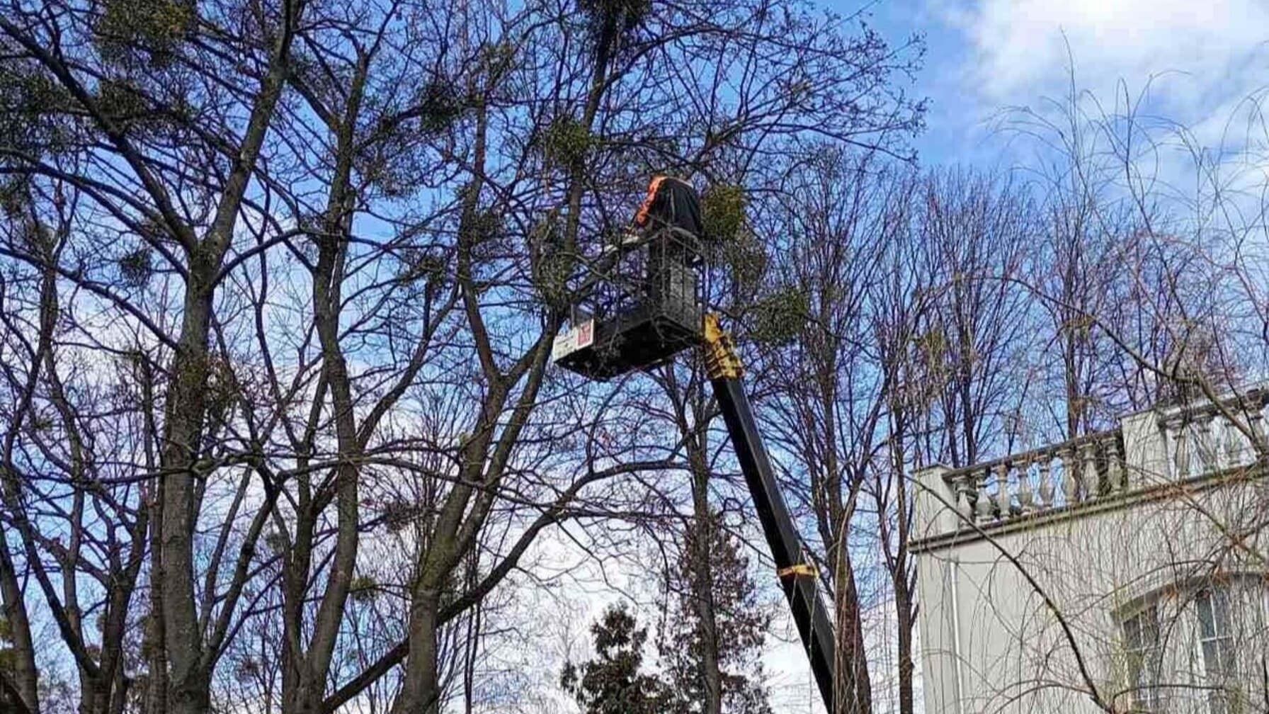 Фото до матеріалу: У Львові повністю перекриють вулицю Винниченка через суцільне асфальтування