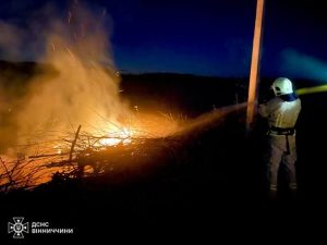 Фото до матеріалу: 12 пожеж за добу на Вінниччині: від екосистем до житлових будинків