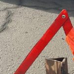 Фото до матеріалу: Авокадо в Україні: корисні властивості та прості рецепти