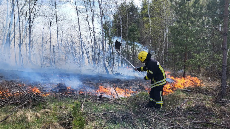 Фото до матеріалу: Лісову пожежу повністю ліквідували в Заболотті