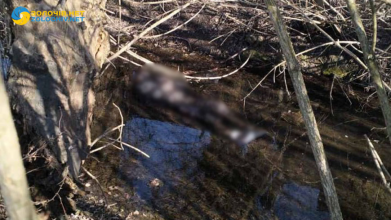 Фото до матеріалу: Працівник моргу з Львівщини встановив новий світовий рекорд у сфері татуювань