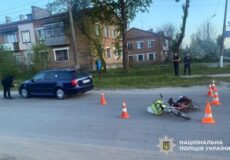 Фото до матеріалу: Косуля потрапила під авто у Хмельницькому: патрульні врятували тварину