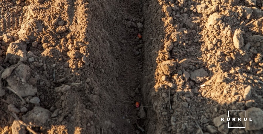 Фото до матеріалу: Аграрії США прискорюють сівбу кукурудзи та сої: дані USDA