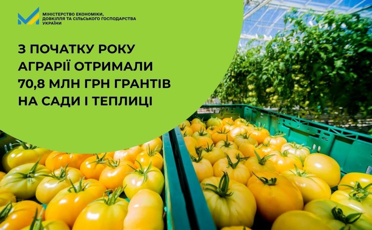 Фото до матеріалу: 14 агропідприємств України отримали гранти на розвиток садівництва та теплиць