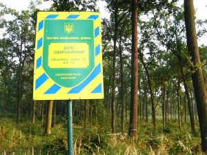 Фото до матеріалу: Сільпо придбає мережу «Арсен»: що це означає для Львова та ринку